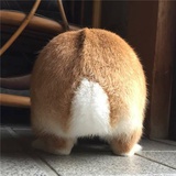 Je ne sais pas
