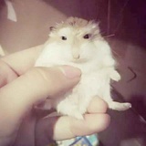 陈泯含