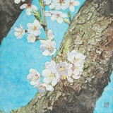 小羊羔