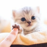 蜗牛