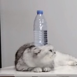 626