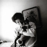 企鹅村的乌卒卒