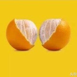 北冥之鱼