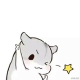 涂小岚