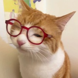 促促