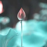 蔚然