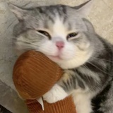 RICH_JL