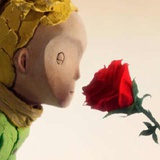 小王子和他的🌹
