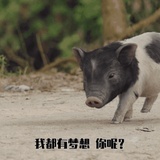 爷爷会弹琴