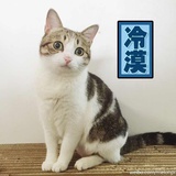 晚疯呀