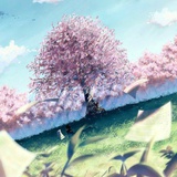 Carolinee_