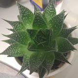 一车砖头