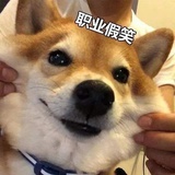 铁锅炖大鹅
