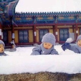 JiachengZhang