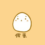 浣熊小姐
