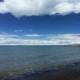 海