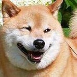 蛋蛋