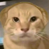 王敬轩