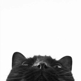 5555