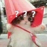 七晗未凡