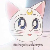 一只瓣解