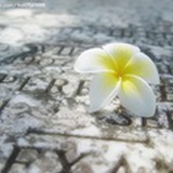 菲我时光