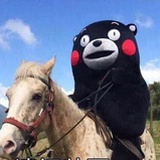 安静的美男