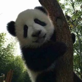 林溪