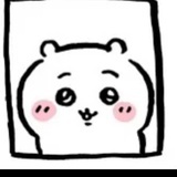 绵绵小宝🐷
