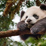 小吃