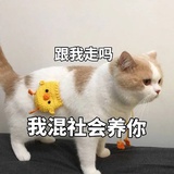 钮祜禄·胖达