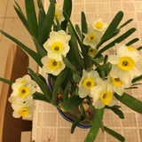 田小萌