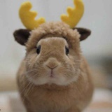 到此