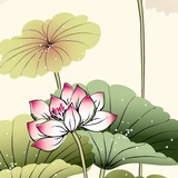 晚枫126