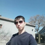 不会游泳的海豚