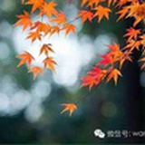 丽