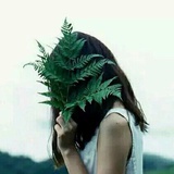 沈雁卿