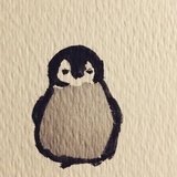 小帝企鹅