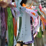 zhuzhuojiao