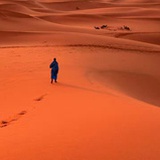 风来