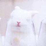 哎呀我勒个去