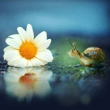蜗牛