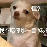 不爱江山爱狗子