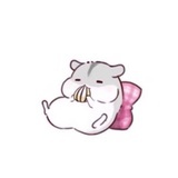 果芒代购