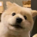 抽喝烫艺术家