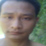 杨