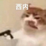 爱爱子