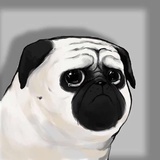 何鸣