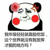 没有加菲的猫