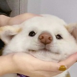 cgrtchrsmup